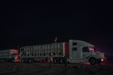Workers from Ferropuerto de Sonora, a company dedicated to services for cargo transportation, test wheat grain for export while it is in a queue outside the company's premises. The Yaqui Valley is a w...