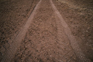 Urea granules, a nitrogenous compound fertiliser, lie on a dry floor beside tractor tracks where wheat will be planted. Around October, when the land is dry, many local farmers apply fertilisers, irri...