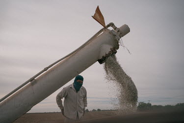 Jorge Alberto Ruiz (30) observes how urea granules fall from a local agro-industrial economic consortium's truck into a fertiliser spreader in a dry field where wheat will be planted. Around October,...