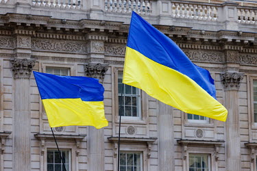 Ukrainian flags fly during a solidarity protest in Whitehall against the Russian invasion of Ukraine. The protest brought together Ukrainians, Russians, Uyghurs and others.