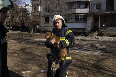 A fireman carries a dog rescued from an apartment building in western Kyiv that was hit by Russian shelling and caught on fire.