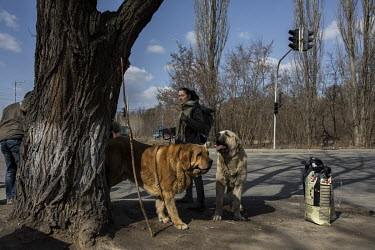 A woman with two pet dogs is among a steady stream of civilians who arrived in minivans and ambulances at an aid station in north west Kyiv, having being evacuated from the besieged town of Irpin. The...