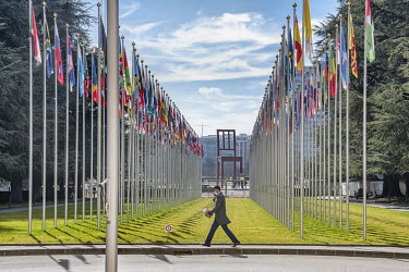 Flags of the 193 countries of the UN flying at the entrance to the UN in Geneva.