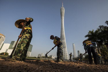 Groundskeepers maintain the greenery near Canton Tower in downtown Guangzhou.