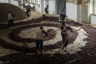 Employees spread out steamed sorghum to cool ahead of fermentation at the Kweichow Moutai Co. liquor factory in the town of Maotai in Renhuai. First favoured and promoted by former Chinese premier Zho...