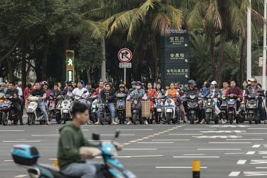 Motor scooterists wait at a traffic signal.