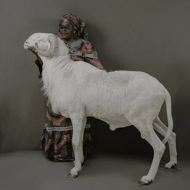 Fatoumata Doumbia shows Le Ladoum Mass, a Ladoum ram from the Na-Fanta Diane flock. It is 30 months old and 110cm at the withers.Ladoum sheep are a cross between Mauritanian touabir and Malian bali-ba...