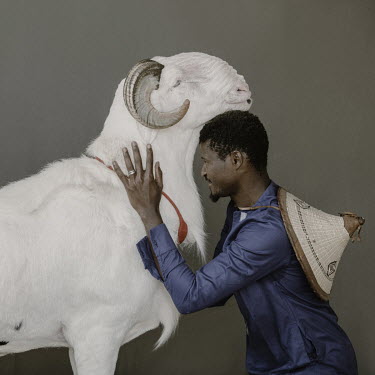 Assane Dieye, manager of the Menenek flock, shows Ladoum ram Ballon d'Or.Ladoum sheep are a cross between Mauritanian touabir and Malian bali-bali. They're renowned for their size and appreciated for...