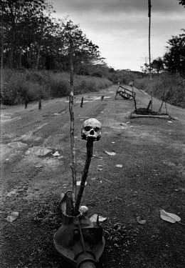 A human skull on a spike at a checkpoint in the middle of the road to Bo.