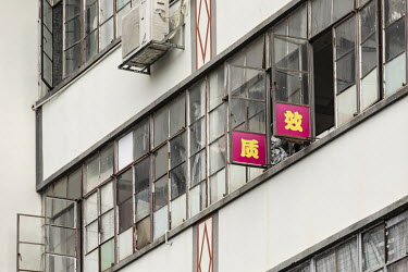 Characters for 'Quality' and 'Efficiency' are pasted on the windows of a factory in the Luohu district.
