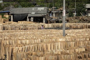 Workers at a wood processing facility where sheets of eucalyptus wood are dried before being pressed into boards.
