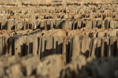 Sheets of eucalyptus wood are dried before being pressed into boards at a wood processing facility.