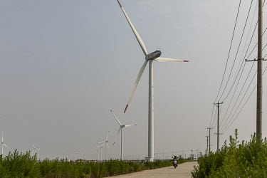 A rider on a scooter passes a wind farm operated by China Huaneng Group.