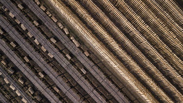 Sheets of eucalyptus wood are dried before being pressed into boards at a wood processing facility.
