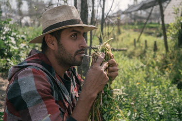 Carlos Samano, a field worker of UNAM's Ecological Restoration Laboratory, smells the roots of plants growing in a refuge on a 'chinampa' in the San Gregorio neighbourhood. The university's restoratio...