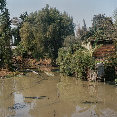 A canal with low quality water in San Gregorio, Xochimilco.