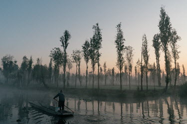 A farmer rows his boat besides a 'chinampa' early in the morning on a canal in Xochimilco, the last wetland of the Valley of Mexico and home of the rare axolotl.