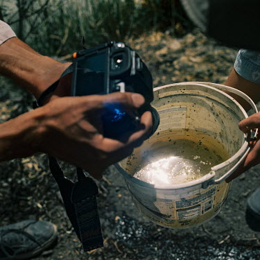 Carlos Sumano, a worker from the Laboratory of Ecological Restoration at the Universidad Autonoma de Mexico, photographs a bucket of water from a canal to record its quality and the micro-organisms it...