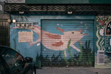 A mural of an axolotl in the Nativitas neighbourhood. This endemic amphibian from the Valley of Mexico was considered an aquatic manifestation of the god Xolotl.