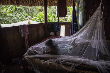Walkanga playing with a mobile phone while lying beneath a mosquito net. The houses are often raised from the ground, with the lower part serving as kitchen and living room. The habitat is made with...