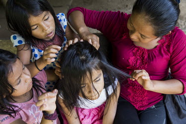 A woman and children check a girl's scalp for headlice. Among the Sarayaku, head lice is an exciting game, and the girls quarrel to do it.