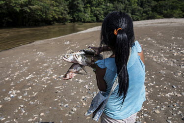 Jade carrying a handful of fish caught that day in the Rio Bobonaza. Children participate in all community activities with their parents, and from an early age become familiar with hunting and fishing...
