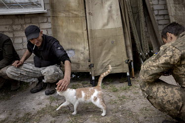 A soldier strokes a cat while taking a rest at a military hospital in an undisclosed location close to the frontline in Donetsk. Most of the soldiers at the facility have been wounded during fighting...