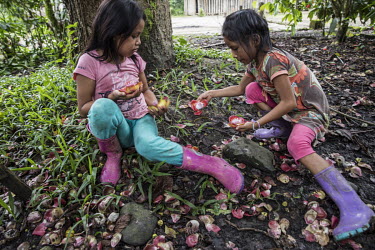 Two girls collecting flowers which to the Kichwa people of Sarayaku are the symbol of their resistance to the threat to the rain forest.