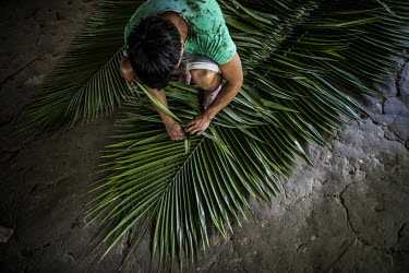 A man weaving fronds from a palm tree. There are many kinds of palm trees. "We pick the fruits of the morete, chili, chambira, chiwa, chonta palms. We eat the heart of the chonta, chili, taraputu, ram...