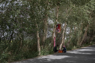 Farmers sell goji berries harvested from nearby fields while sitting at the roadside beneath the shelter of trees.