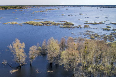 A view of the flooded Irpin River basin, near Kozarovychi. This area was largely swamp and marshland until dams were built from the 1950s onwards. The cause of the current flooding is not clear with s...
