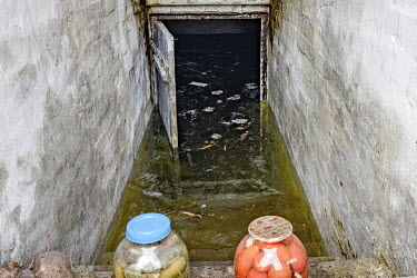 Rotten vegetables and household items floating inside a flooded cellar in the village of Demydiv.