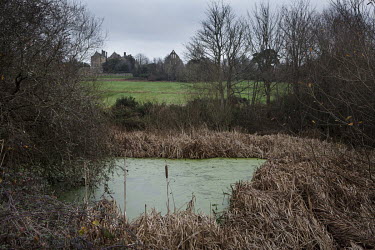 A pond near Battle Abbey, built on the site of the Battle of Hastings (14 October 1066).