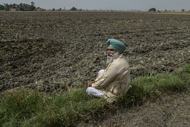 Gurmeet Singh, the former village head (sarpanch), sits beside a ploughed field on his farm.
