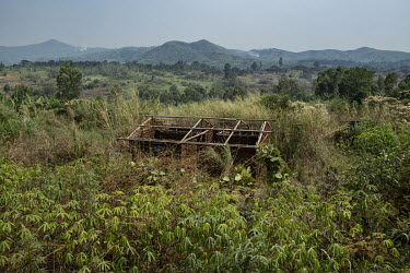 A home abandoned following repeated militia attacks.  There are at least 5.5 million internally displaced people (IDPs) in the DRC, mostly in the eastern provinces. In Ituri province alone there are 1...