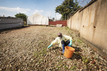 A worker wearing protective equipment removes weeds at the Beni Ebola Treatment Centre.