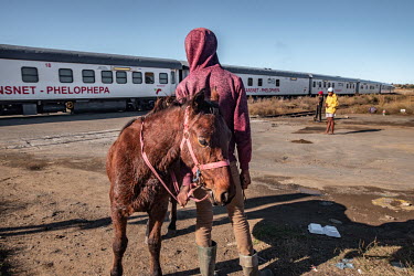 A boy looks on with his horse as the Phelophepa healthcare train passes over a rail crossing in the town of Thaba Nchu. The train has been providing primary health services to remote and under-resourc...