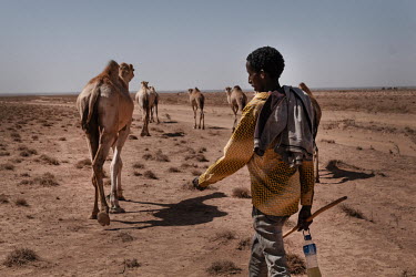 An Ethiopian-Somali herder who has walked two days across the border to find water for his camels and is now beginning the long walk back.