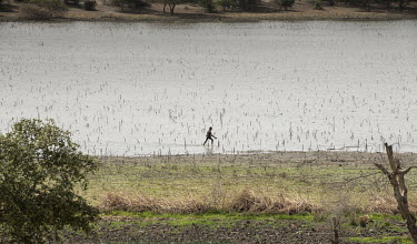 A man wades through the shallows of Lake Chad.  Lake Chad, which spanned 9,652sqm in 1963, has shrunk by 90 per cent in recent decades. Climate change is to blame, with population growth and unplanned...