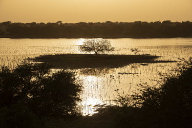 The sun sets over Lake Chad.  Lake Chad, which spanned 9,652sqm in 1963, has shrunk by 90 per cent in recent decades. Climate change is to blame, with population growth and unplanned irrigation also c...