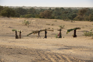 Internally Displaced Peoples (IDPs), refugees from the conflict with Boko Haram, carry building materials across the dried up bed of Lake Chad.  Lake Chad, which spanned 9,652sqm in 1963, has shrunk...
