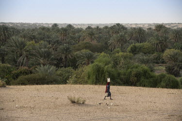 Internally Displaced Peoples (IDPs), refugees from the conflict with Boko Haram, walk on the dried up bed of Lake Chad.  Lake Chad, which spanned 9,652sqm in 1963, has shrunk by 90 per cent in recent...