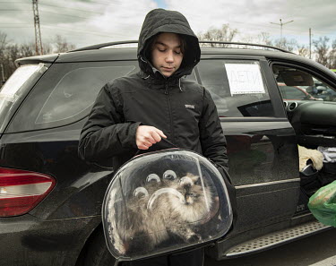 A refugee and his cat from Mauriupol arrive at a makeshift reception centre in a Zaporizhzhia supermarket car park.