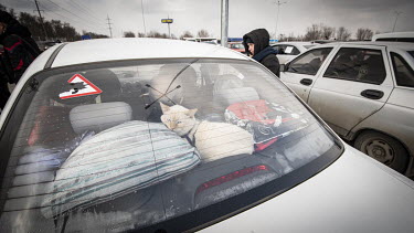 A pet cat sits on the parcel shelf of a car bring refugees from Mauriupol to a makeshift reception centre in a Zaporizhzhia supermarket car park.