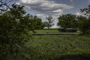 A destroyed Russian armoured vehicle sits in a field in the recently recaptured village of Novopil.
