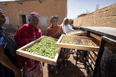 Food drying racks at a woman's collective supported by the United Nations Multidimensional Integrated Stabilisation Mission in Mali (MINUSMA).  In 2012, Islamist radicals linked to al-Qaeda, hijacked...