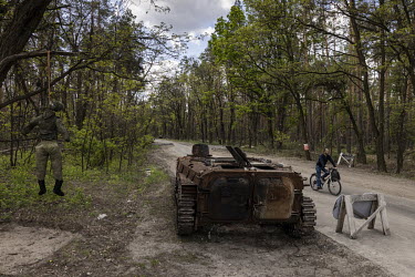 An effigy wearing a Russian military uniform hangs from a tree beside a destroyed Russian armoured vehicle at a checkpoint outside the village of Moshchun.