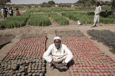 A man sits among seedlings in pots of various trees species (acacia, desert date, guava, citron and mango trees) that villagers are planting in the hope they will stop the desert encroaching on their...