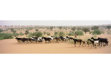 Hawa Sow (9) herds goats in what is now desert near the village of Koyli Alpha.   The Great Green Wall is a project spanning 8,000km of Africa from coast to coast encompassing 20 countries. By 2030 th...