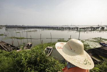 A farmer stands next to a fish pond beside an aqua solar farm. China is the world's largest solar power producer.
